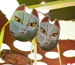場と間